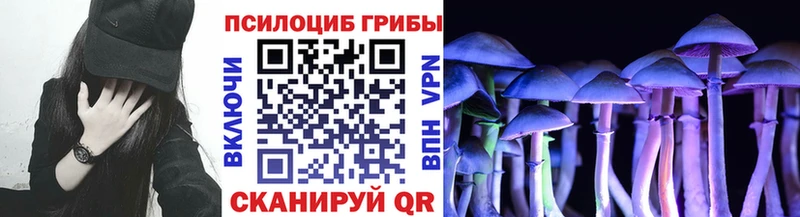 МЕГА tor  Пушкино  Псилоцибиновые грибы ЛСД 